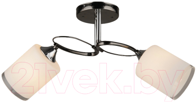 Потолочный светильник Mirastyle SX-N-7708/2 AN+CH - фото