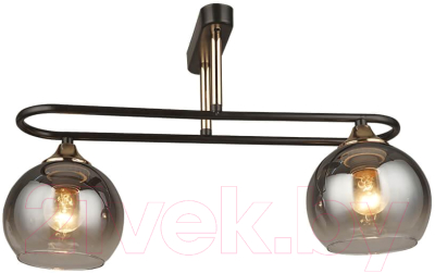 Потолочный светильник Mirastyle SX-N-8770/2 CF+FG - фото