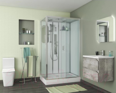 Душевая кабина Niagara NG-6012-01GQR 120x80x210 (прозрачное стекло)