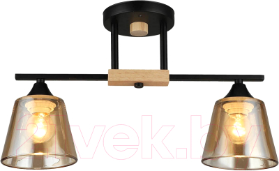 Потолочный светильник Mirastyle SX-N-9202/2 BK - фото