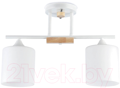 Потолочный светильник Mirastyle SX-N-9204/2 WT - фото