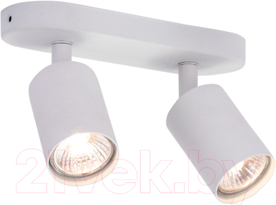 Спот Arte Lamp Aquarius A3226PL-2WH - фото
