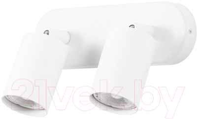 Спот Arte Lamp Aquarius A3226PL-2WH