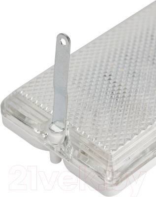 Светильник ЖКХ ЭРА ДБО 01-12-001 линия / Б0061157