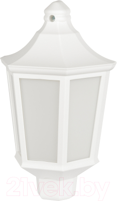 Бра уличное ЭРА НБУ 06-60-003 Ника / Б0061160 - фото