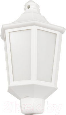 Бра уличное ЭРА НБУ 06-60-003 Ника / Б0061160