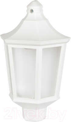 Бра уличное ЭРА НБУ 06-60-003 Ника / Б0061161 - фото