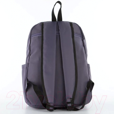 Рюкзак Ecotope 274-782-GRY