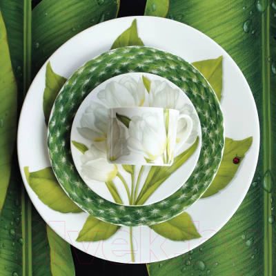 Чашка с блюдцем Taitu Freedom Flower 1-82-B