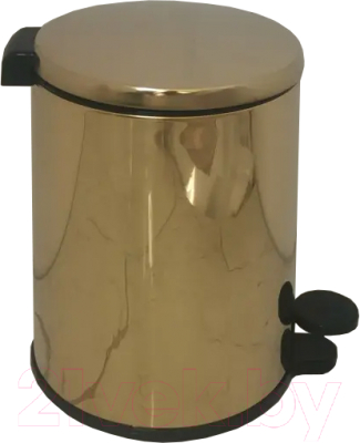 Мусорное ведро Primanova Cigo M-E41-37-06 - фото