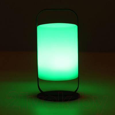 Ночник De Markt Арлон 812030701