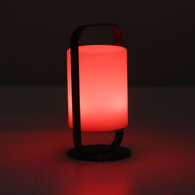 Ночник De Markt Арлон 812030701