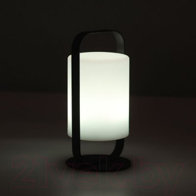 Ночник De Markt Арлон 812030701