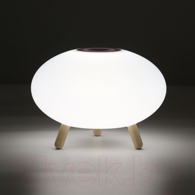 Прикроватная лампа De Markt Арлон 812030801