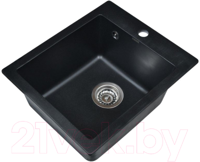 Мойка кухонная Wisent 420-25W