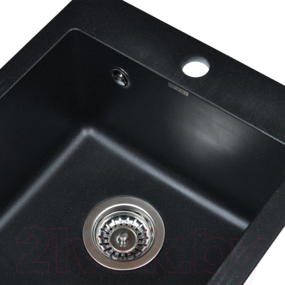 Мойка кухонная Wisent 420-25W