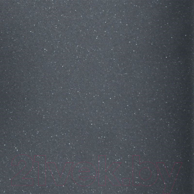 Мойка кухонная Wisent 420-25W