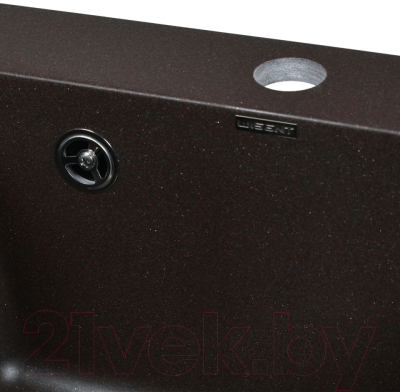 Мойка кухонная Wisent 420-27W