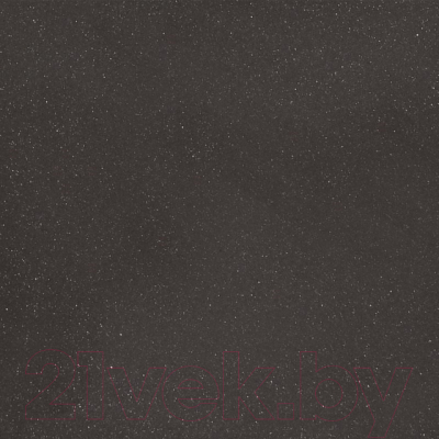 Мойка кухонная Wisent 420-27W