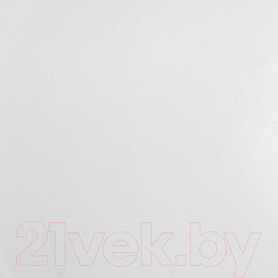 Мойка кухонная Wisent 420-28W