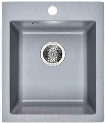 Мойка кухонная Wisent 420-29W - фото