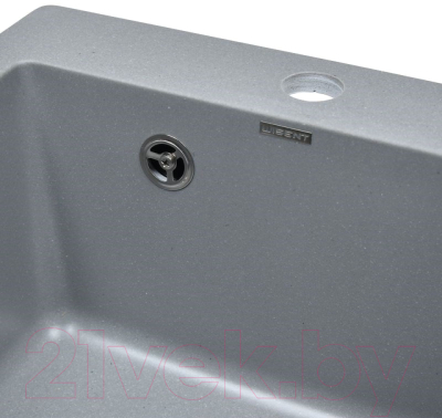 Мойка кухонная Wisent 420-29W