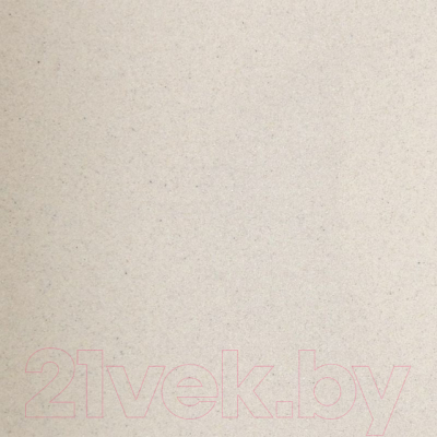 Мойка кухонная Wisent 420-30W