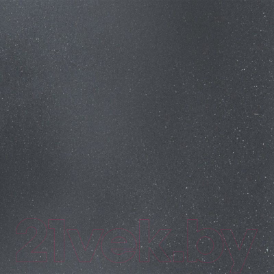 Мойка кухонная Wisent 510-25W