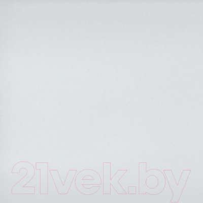 Мойка кухонная Wisent 510-28W