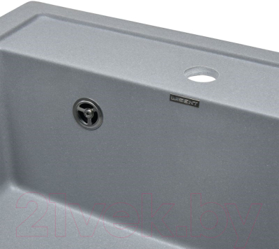 Мойка кухонная Wisent 510-29W