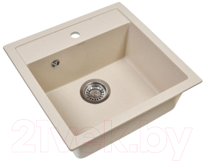 Мойка кухонная Wisent 510-30W