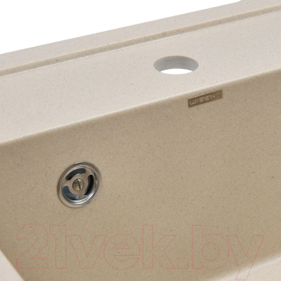 Мойка кухонная Wisent 510-30W