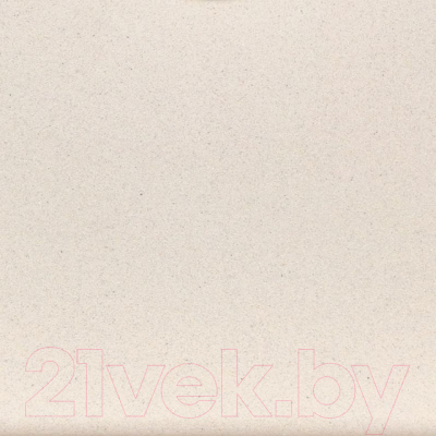 Мойка кухонная Wisent 510-30W