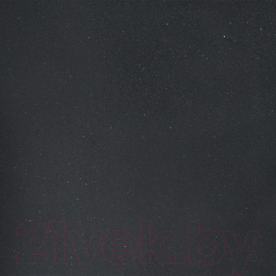 Мойка кухонная Wisent 600-25W