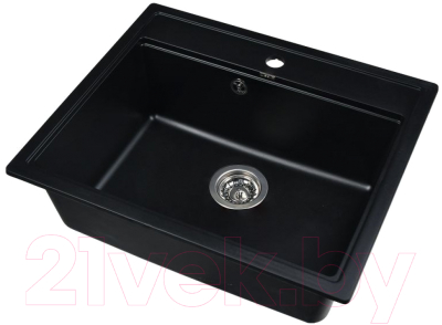 Мойка кухонная Wisent 600-26W