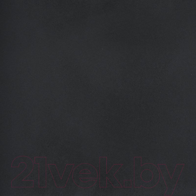 Мойка кухонная Wisent 600-26W