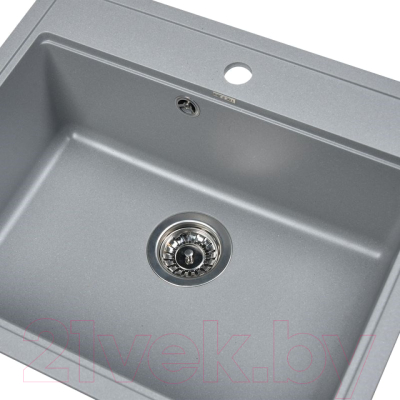 Мойка кухонная Wisent 600-29W