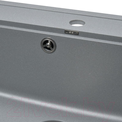 Мойка кухонная Wisent 600-29W