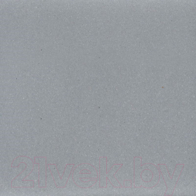 Мойка кухонная Wisent 600-29W