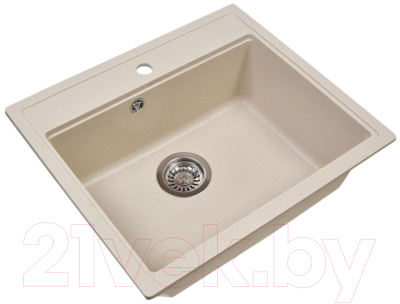 Мойка кухонная Wisent 600-30W