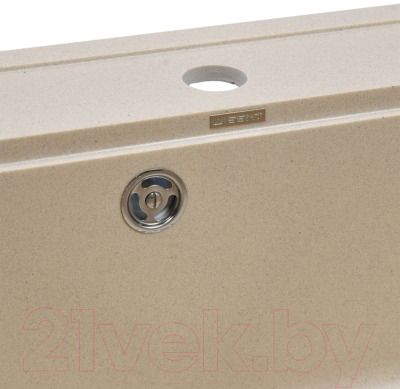 Мойка кухонная Wisent 600-30W