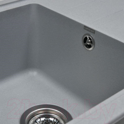 Мойка кухонная Wisent 620-29W