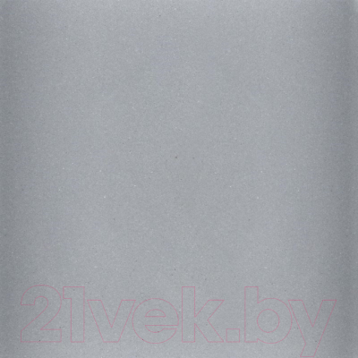 Мойка кухонная Wisent 620-29W