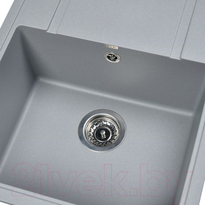 Мойка кухонная Wisent 650-29W