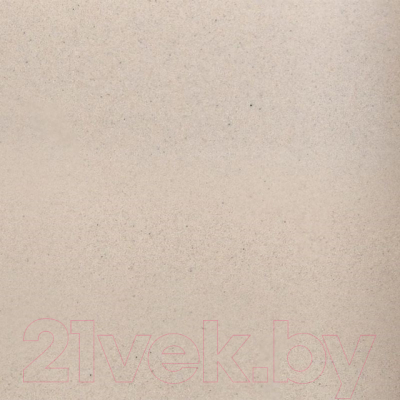 Мойка кухонная Wisent 650-30W