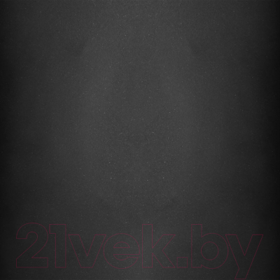 Мойка кухонная Wisent 780-25W