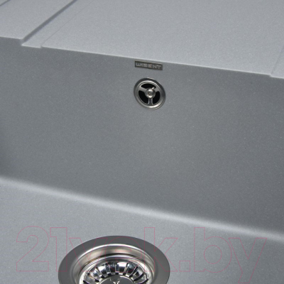 Мойка кухонная Wisent 780-29W