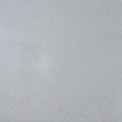 Мойка кухонная Wisent 780-29W