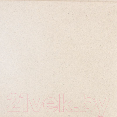 Мойка кухонная Wisent 780-30W