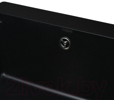 Мойка кухонная Wisent 780-25WP